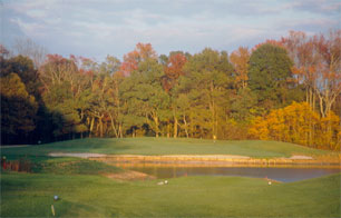 Cape May National Golf Club Natural Course